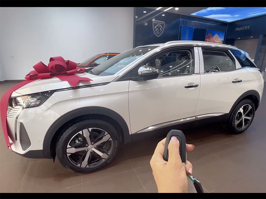 Tips to use Key to Scale Down Peugeot 5008 Window