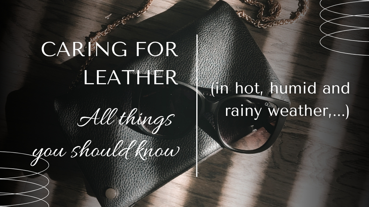 All things you should know for Caring for leather (in hot, dry and rainy weather,...)