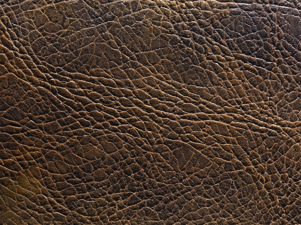 Full grain is one of leather type lift the importance of cowhide